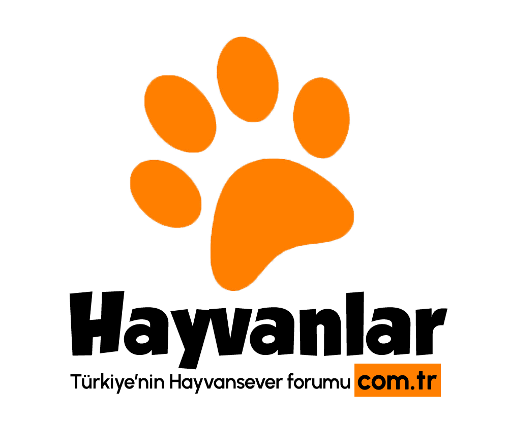 hayvanlar.com.tr