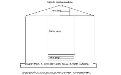 adsız.webp