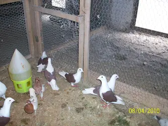 100_3624.webp