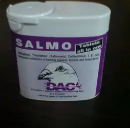 Salmo.webp