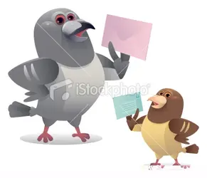 ist2_8953009-happy-pigeon.webp