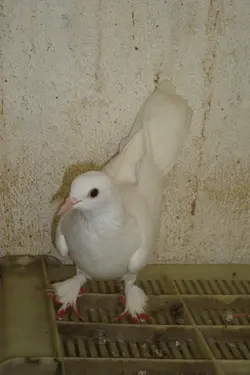 DSC03762.webp