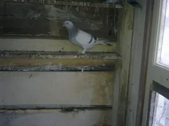 Görüntü0153.webp