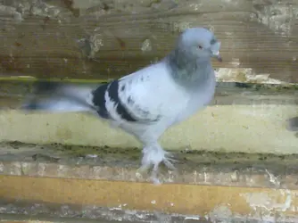 Görüntü0160.webp