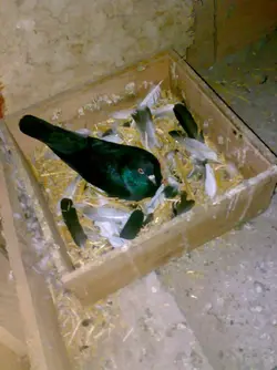 23102010929_1075x1434.webp