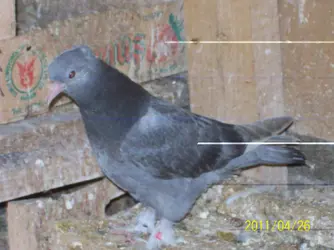 100_0307.webp