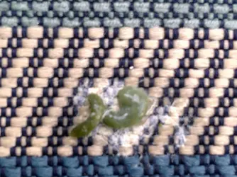 07112011428.webp