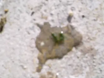 08112011429.webp