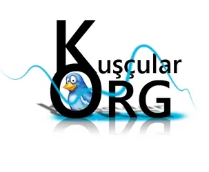 kuscularlogo.webp