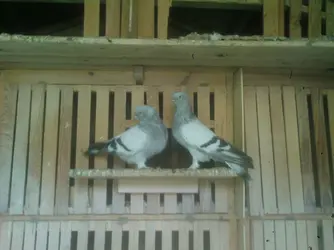 Photo-0244.webp