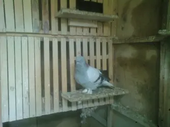 Photo-0245.webp