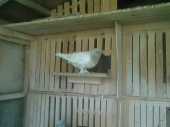 Photo-0247.webp