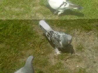 Photo-0258.webp