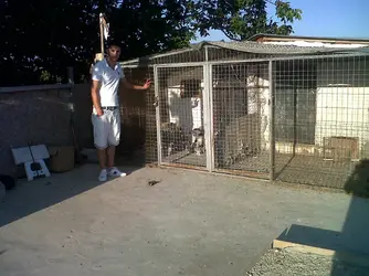 IMG00227-20120721-1908.webp
