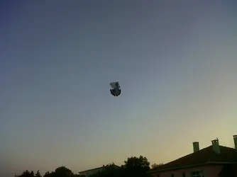 IMG00245-20120721-2021.webp