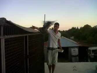 IMG00246-20120721-2021.webp