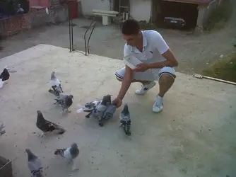 IMG00257-20120721-2024.webp