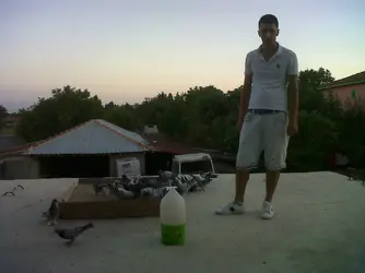 IMG00261-20120721-2035.webp