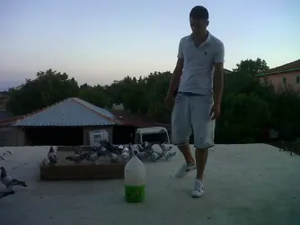 IMG00262-20120721-2035.webp