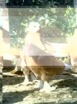 200820121179.webp