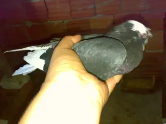 01102012133[1].webp