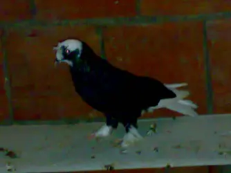 01102012130[1].webp