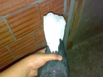 01102012135[1].webp
