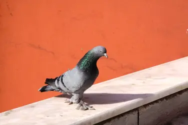 Dumanlı-4.webp