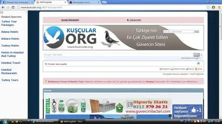 reklam.webp