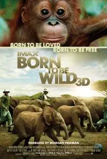 Born to Be Wild.webp