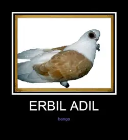 ERBIL_!@.webp