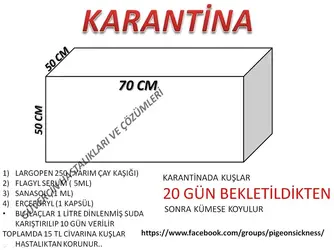 KARANTİNA TEDAVİSİ.webp