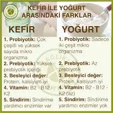 KEFİR İLE YOĞURT.webp