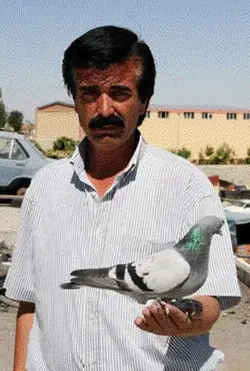 G%C3%9CVERC%C4%B0N.webp