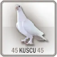 45kuscu45